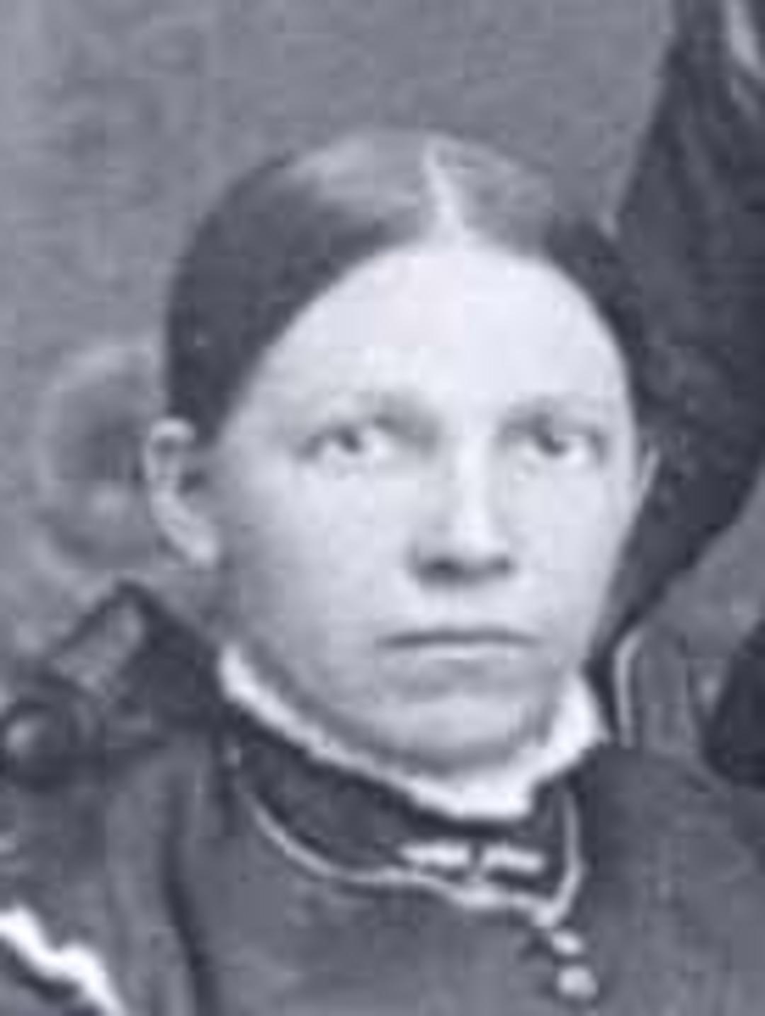 Mary Christina Jensen (1853 - 1929) Profile